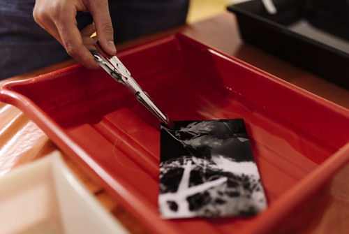 Bild zum Angebot Fotogramm 