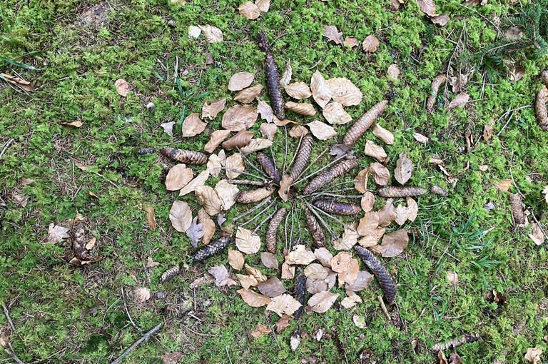Bild 3 zu Angebot Zwischenhalt Wald