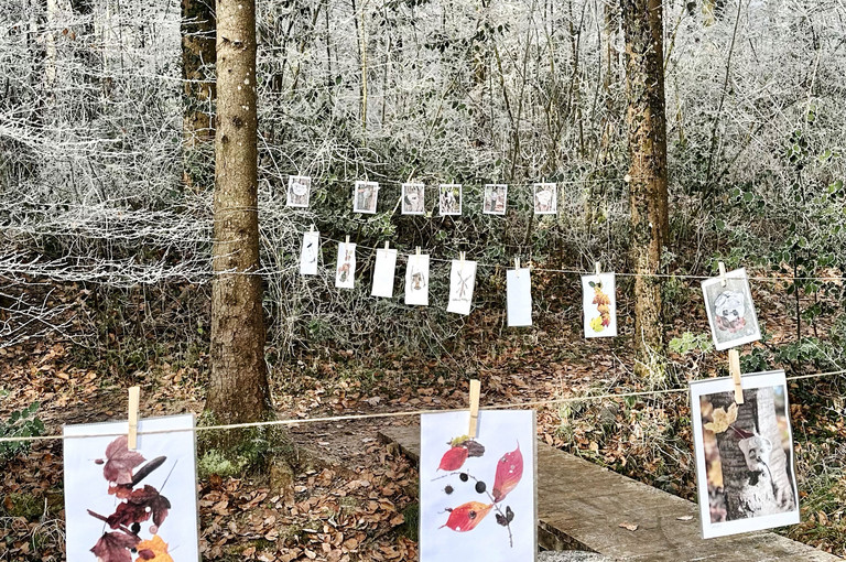 Bild 1 zu Angebot Wald entdecken &ndash; Geschichten wecken