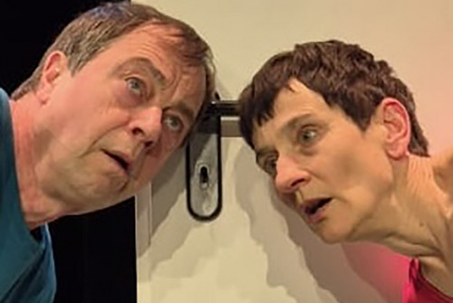 Bild zum Angebot K&auml;fer