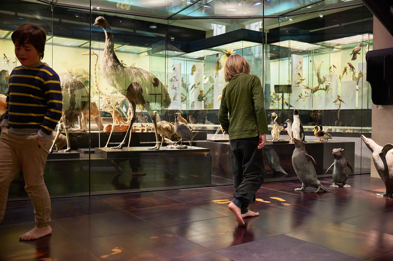 Bild 2 zu Angebot Zweibeinig im Museum