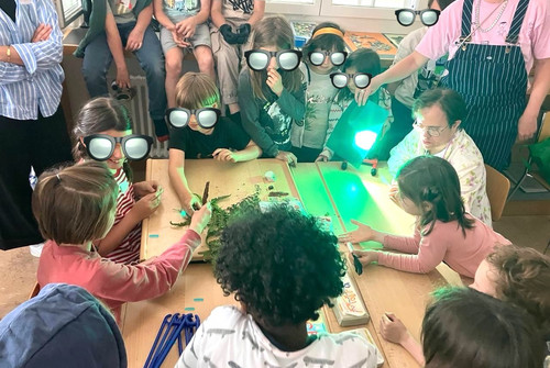 Bild zum Angebot Die Sachensucher/innen