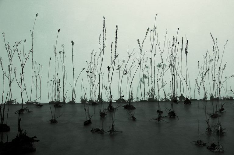 Bild 1 zu Angebot Ursula Palla