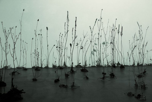 Bild zum Angebot Ursula Palla