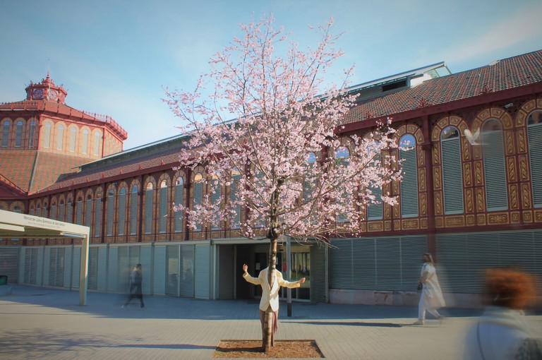 Bild 4 zu Angebot Sfumato / Blickfelder Festival