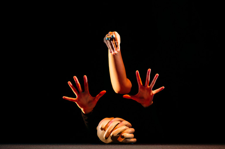 Bild 4 zu Angebot Hopeful Monsters / Blickfelder Festival