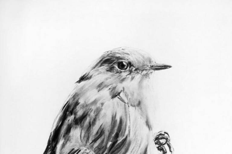 Bild 3 zu Angebot huber.huber