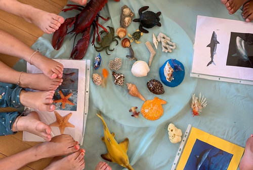 Bild zum Angebot Reise ans Meer