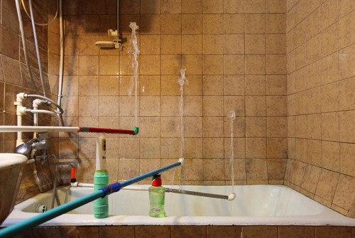 Bild zum Angebot Esther Kempf