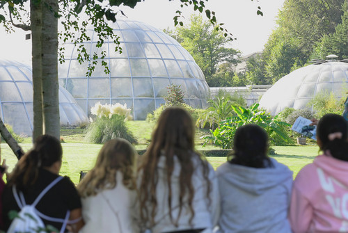 Bild zum Angebot Vom Lesen zum Erlebnis