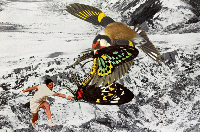 Bild 8 zu Angebot huber.huber