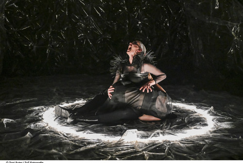 Bild zum Angebot Antigone