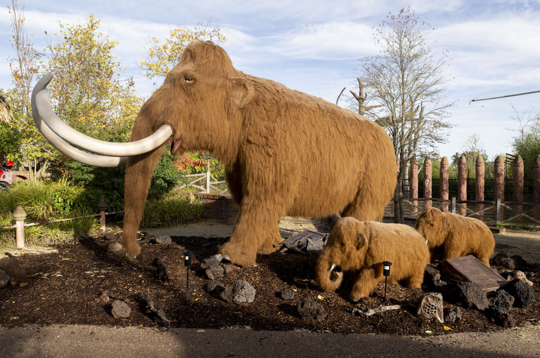 Bild 4 zu Angebot Mammut &amp; Co. im Zoo