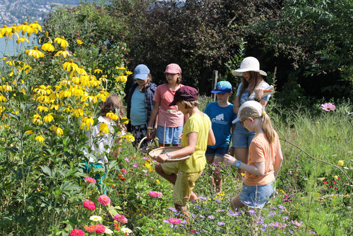 Bild zum Angebot Farben der Natur!