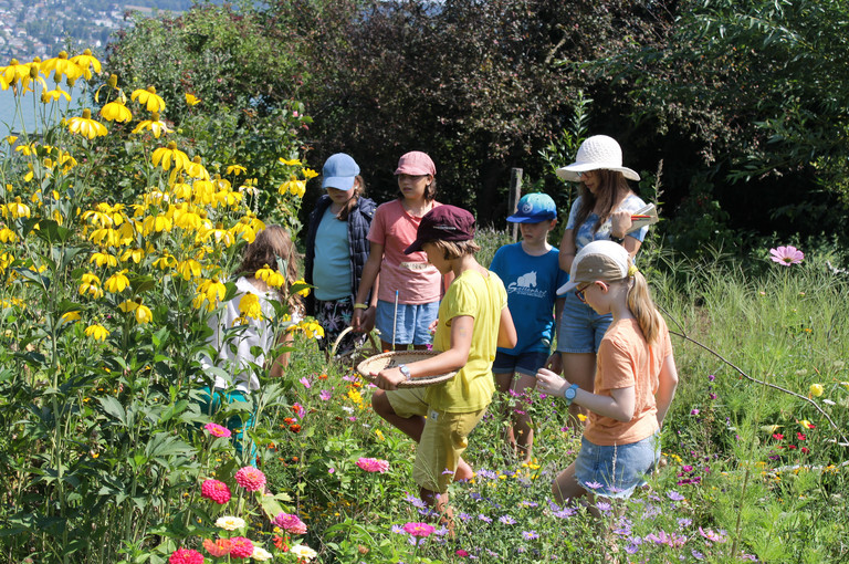 Bild 1 zu Angebot Farben der Natur!