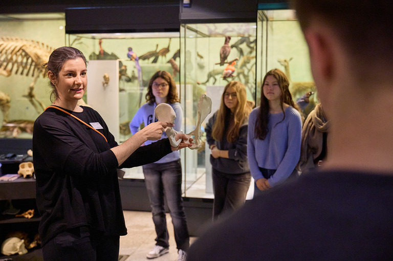 Bild 3 zu Angebot Zweibeinig im Museum