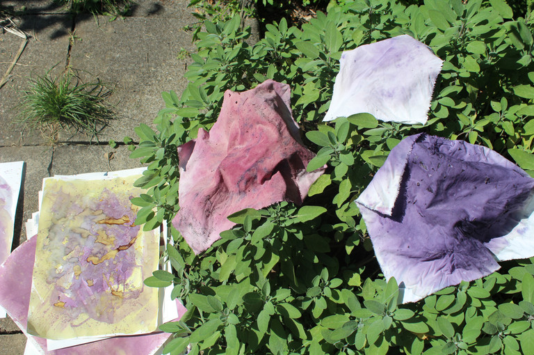 Bild 8 zu Angebot Farben der Natur!