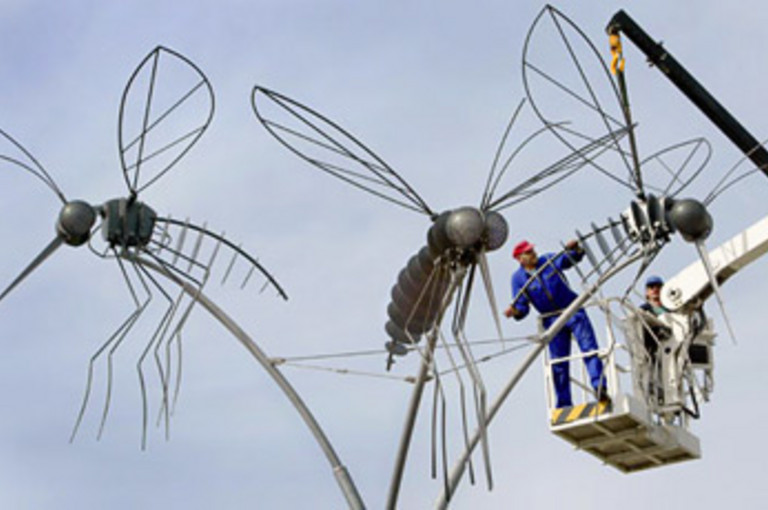 Bild 1 zu Angebot Lozzi Museum: witzig, genial, anregend