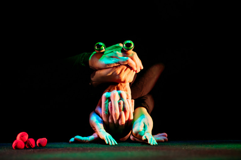 Bild 1 zu Angebot Hopeful Monsters / Blickfelder Festival