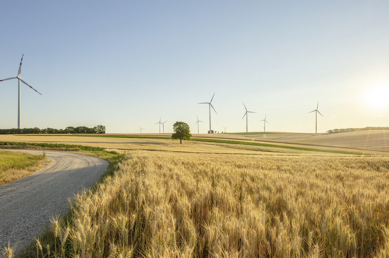 Bild 1 zu Angebot Bilder deiner grossen Liebe