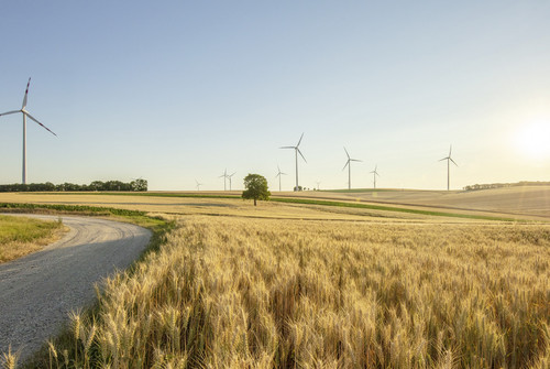 Bild zum Angebot Bilder deiner grossen Liebe