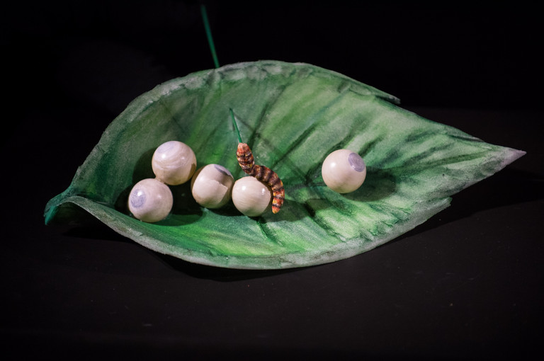 Bild 3 zu Angebot Apr&egrave;s l&#39;hiver