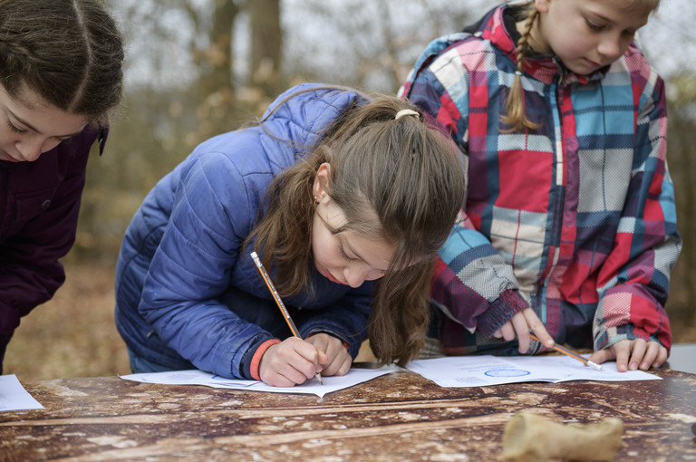 Bild 2 zu Angebot Arch&auml;omobil Ostschweiz