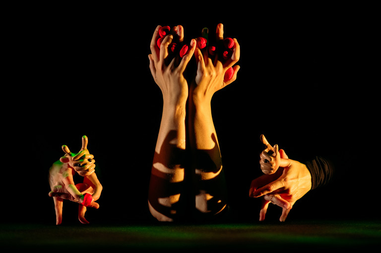 Bild 6 zu Angebot Hopeful Monsters / Blickfelder Festival