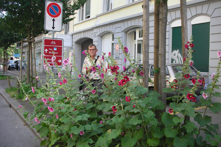 Bild 2 zu Angebot Stadtpflanzen und essbares Unkraut