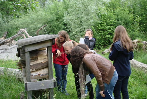 Bild zum Angebot Natur macht Schule