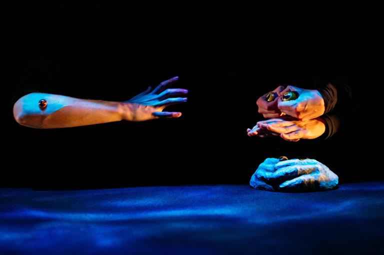 Bild 2 zu Angebot Hopeful Monsters / Blickfelder Festival