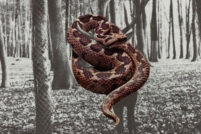 Bild 4 zu Angebot huber.huber