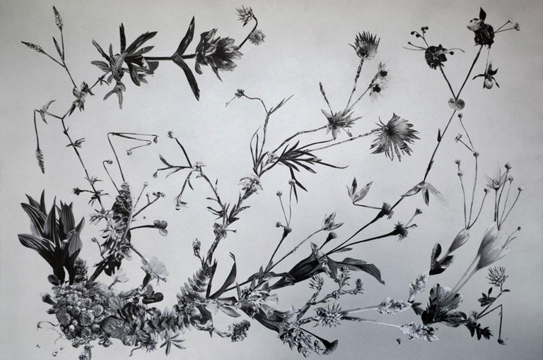 Bild 6 zu Angebot huber.huber