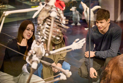 Bild zum Angebot Zweibeinig im Museum