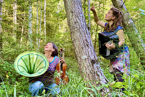 Bild zum Angebot Der Vogel Gl&uuml;ck