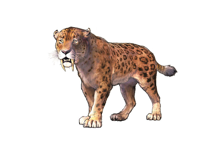 Bild 2 zu Angebot Mammut &amp; Co. im Zoo