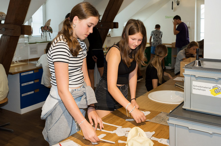 Bild 3 zu Angebot Knochen und Skelette