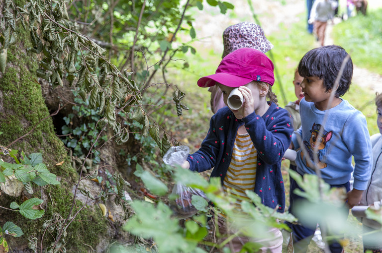 Bild 3 zu Angebot Zwergen-Safari