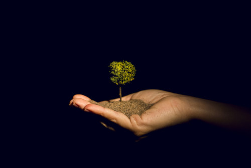 Bild zum Angebot AN-KI / Blickfelder Festival