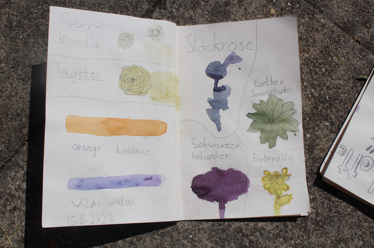 Bild 6 zu Angebot Farben der Natur!