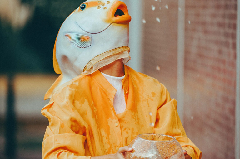 Bild 10 zu Angebot Sfumato / Blickfelder Festival