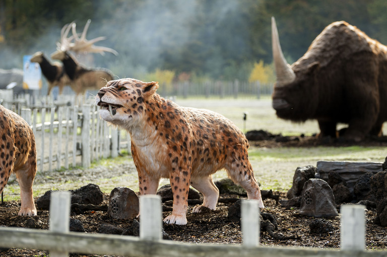 Bild 6 zu Angebot Mammut &amp; Co. im Zoo