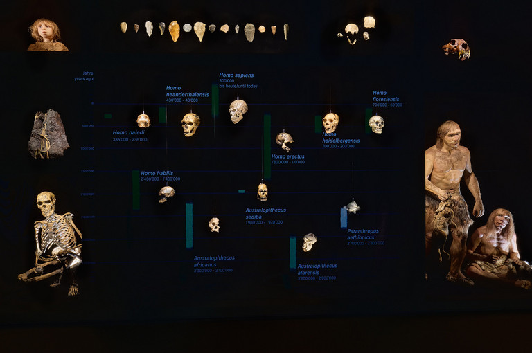 Bild 6 zu Angebot Zweibeinig im Museum