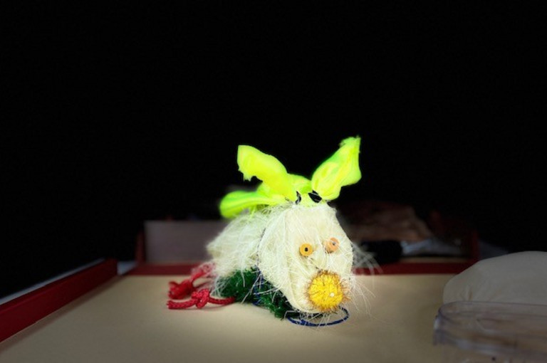 Bild 1 zu Angebot Kuschelb&auml;r oder knisternder Kratzekater