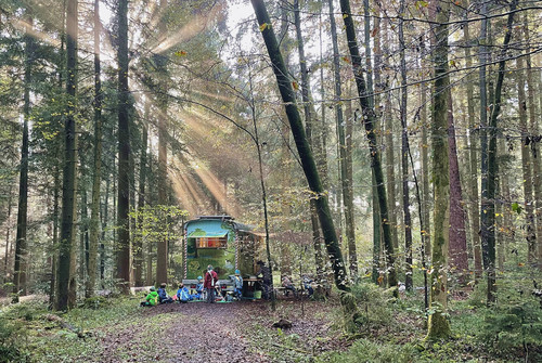 Bild zum Angebot Naturdetektive