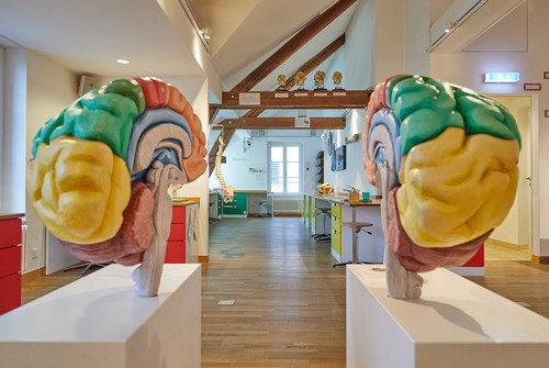 Bild zum Angebot Unsere Sinne