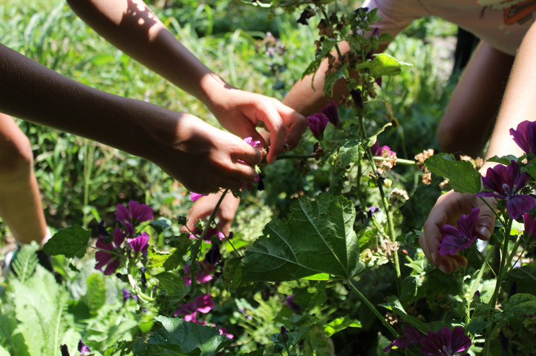 Bild 2 zu Angebot Farben der Natur!