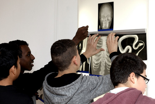 Bild zum Angebot Knochen und Skelette