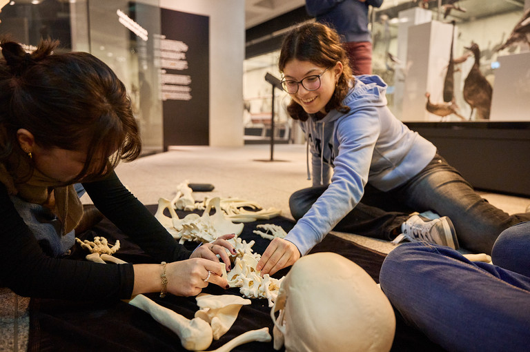 Bild 4 zu Angebot Zweibeinig im Museum