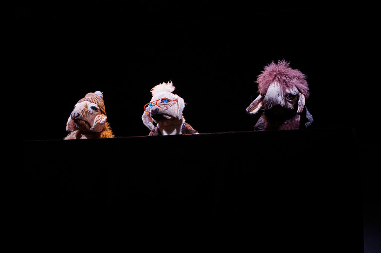 Bild 2 zu Angebot Soko Schafskopf ermittelt